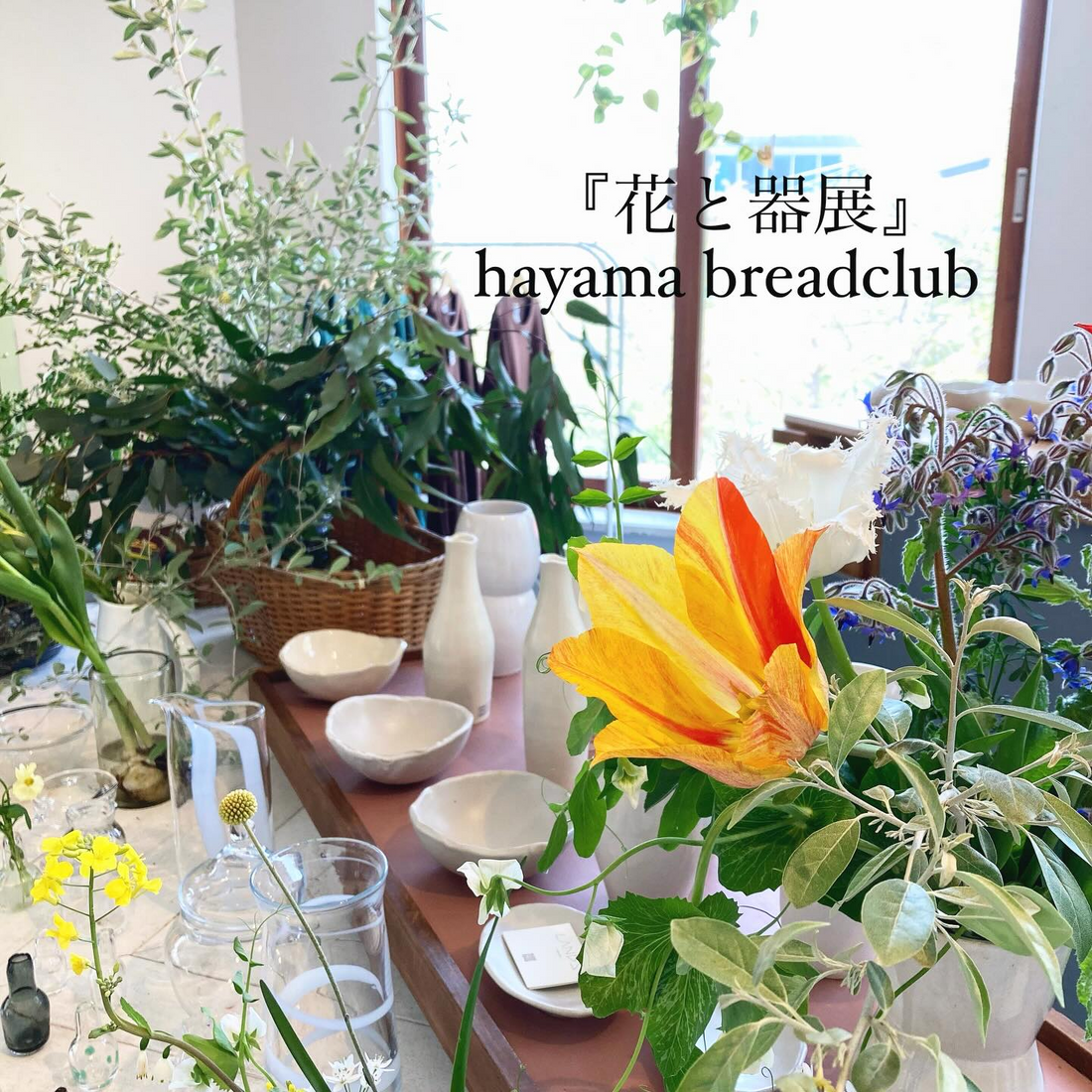 花と器展 hayama breadclub2026を葉山で開催、花とガラスと陶器のpopupが空間の魅力に