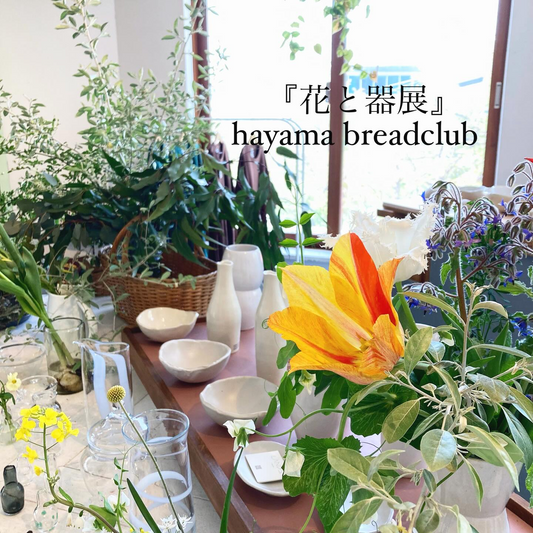 花と器展 hayama breadclub2026を葉山で開催、花とガラスと陶器のpopupが空間の魅力に