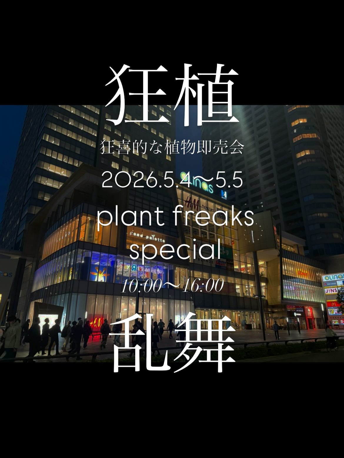 plant freaks GW Special 狂植2026をオリナス錦糸町で開催、塊根植物と