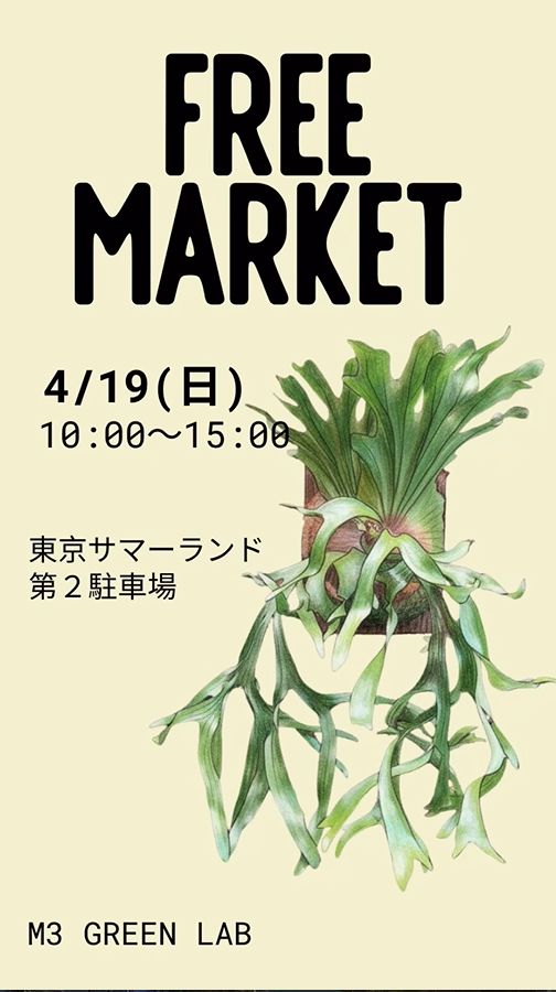 東京サマーランド フリーマーケット2026でM3 Green_labが出店、ビカクシダ販売と育成相談が注目に