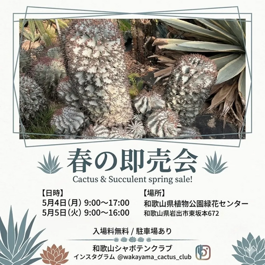 和歌山シャボテンクラブが春の即売会2026を開催、サボテンと多肉植物の展示販売が注目に