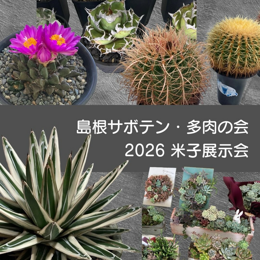 島根サボテン多肉の会が2026米子展示会を開催、会員株の展示即売が駅前施設で注目に