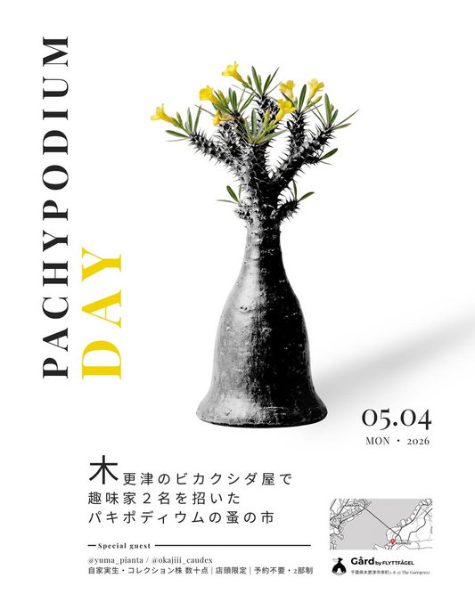 Gård by FLYTTFÅGELがPACHYPODIUM DAY2026を開催、趣味家参加の蚤の市が木更津の注目に