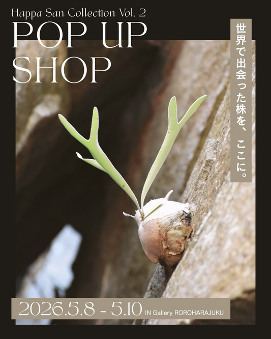 POPUPSHOPHappaSanCollectionVol.22026が開催、世界で出会った株の展示販売が原宿に集結
