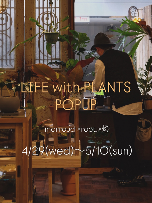 LIFEwithPLANTSPOPUP2026をmarroudが開催、観葉植物と花器の提案が鹿児島に集結