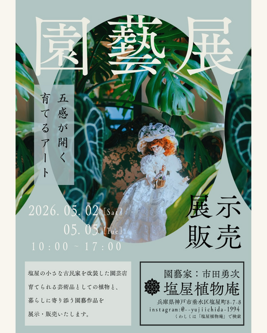 塩屋植物庵が園藝展五感が開く育てるアート2026を開催、古民家で植物と園藝作品の展示販売を展開
