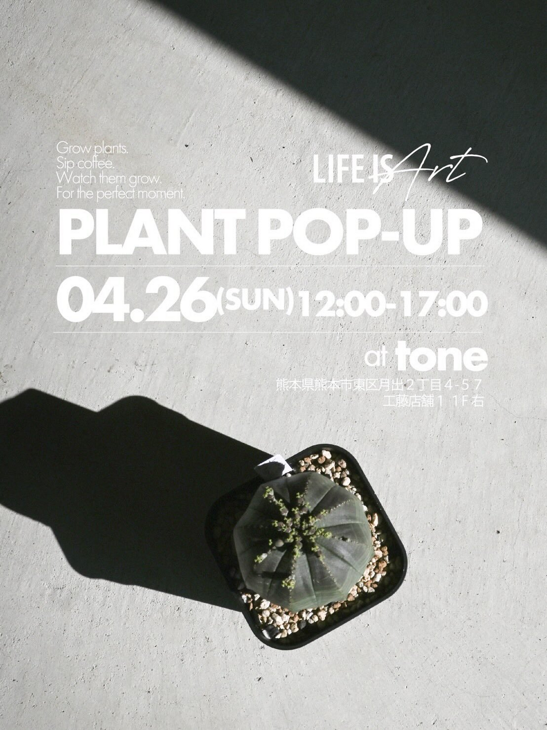 toneがLIFE IS Art PLANT POP-UP2026を開催、ユーフォルビアオベサの魅力が熊本で身近に