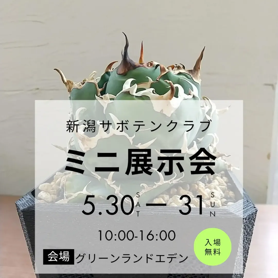 新潟サボテンクラブが2026年ミニ展示会を開催、グリーンランドエデンでサボテン販売の機会に