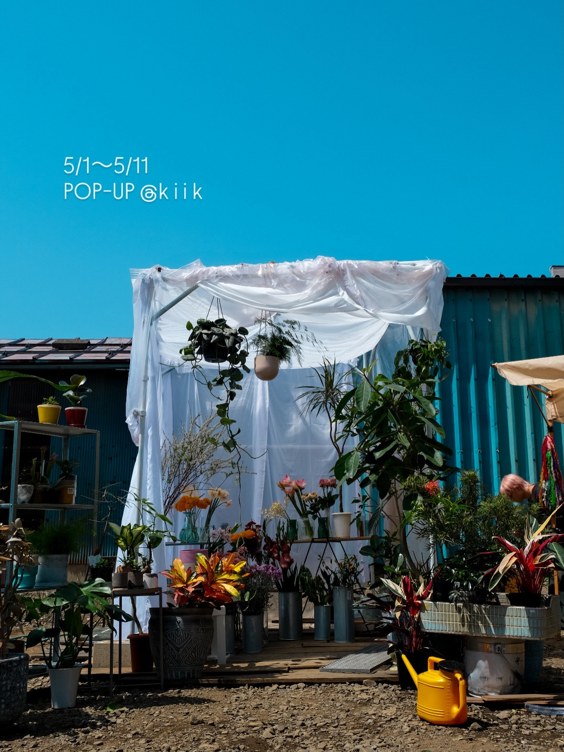 フラワーショップ相徳がPOP-UP at kiikを開催、代々木上原の洋服屋で期間限定の花屋を展開
