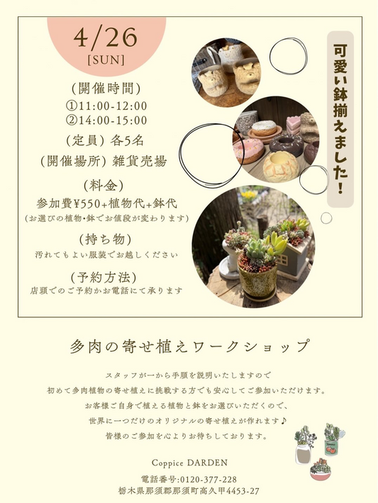 CoppiceGARDENが多肉の寄せ植えワークショップを開催、好きな鉢と苗で作る体験企画を那須で実施