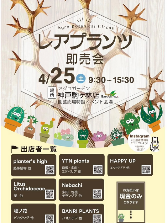 AgroBotanicalCircusレアプランツ即売会2026が神戸で開催、熱帯植物や塊根植物など専門出店者が集結