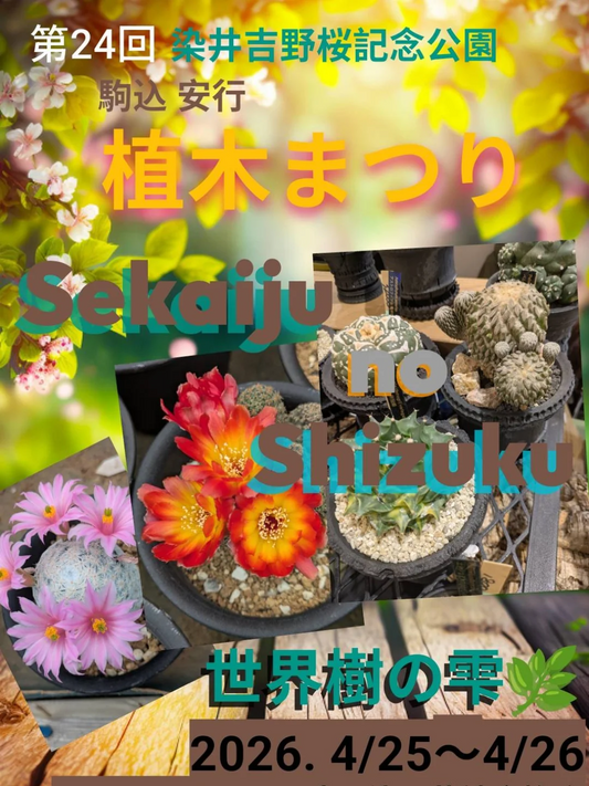 第24回染井吉野桜記念公園植木まつり2026が駒込で開催、世界樹の雫が花サボテンやアストロフィツムを出展