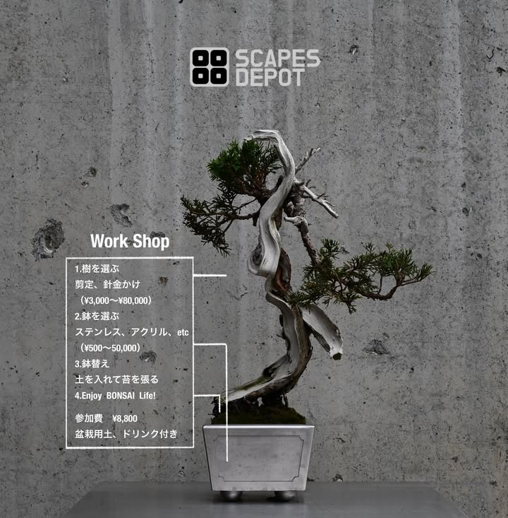 CreativeWorkShopVol.5 2026がScapes福岡店舗で開催、樹と鉢を選ぶオリジナル盆栽制作体験を実施