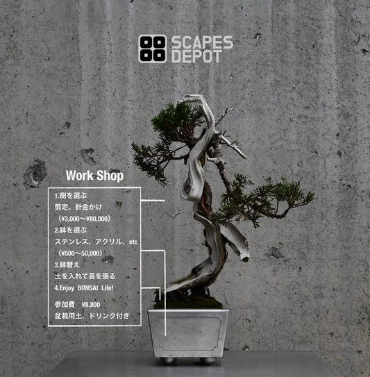 CreativeWorkShopVol.5 2026がScapes福岡店舗で開催、樹と鉢を選ぶオリジナル盆栽制作体験を実施