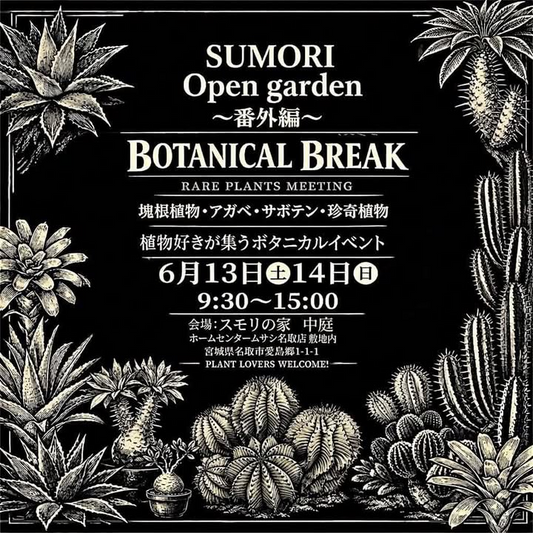 BOTANICALBREAK2026が名取で開催、塊根植物やアガベなど希少植物の出店者が集結