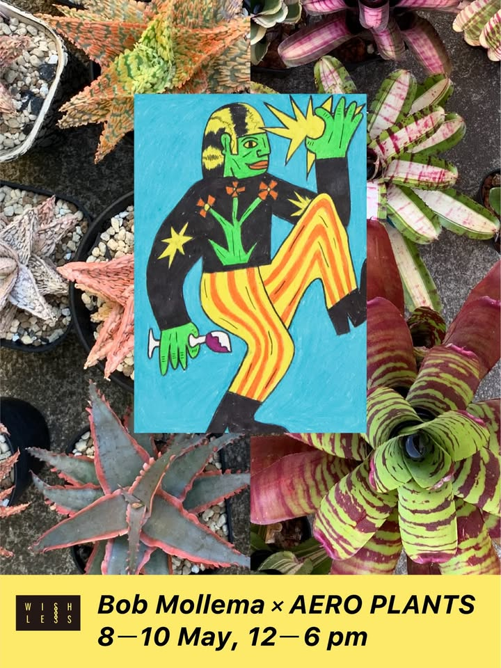BobMollemaAEROPLANTS2026がWISHLESSで開催、ハイブリッドアロエと手描き植木鉢を展示販売