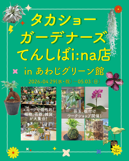 タカショーガーデナーズてんしばina店2026があわじグリーン館で開催、観葉植物販売と苔玉板付け体験を実施