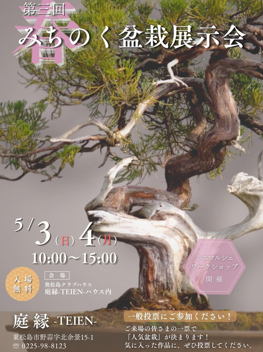 第三回春みちのく盆栽展示会2026が奥松島クラブハウス庭縁で開催、盆栽展示と一般投票を実施