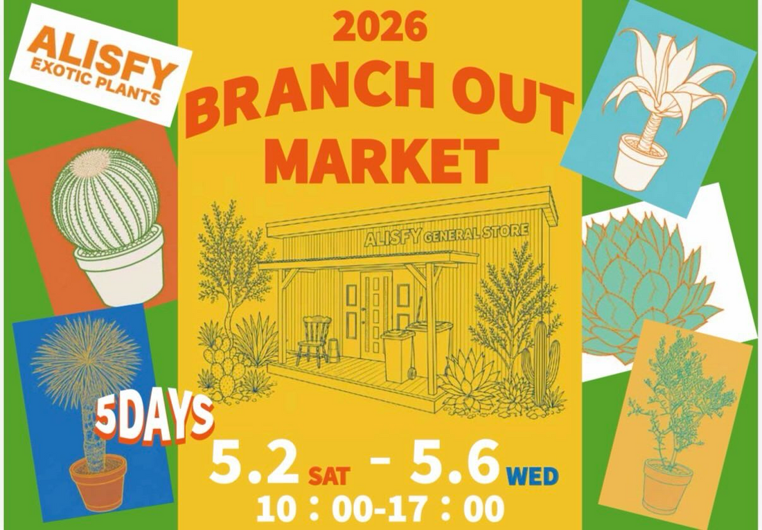 2026BRANCHOUTMARKETがALISFYEXOTICPLANTSで開催、ドライガーデン向け