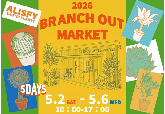 2026BRANCHOUTMARKETがALISFYEXOTICPLANTSで開催、ドライガーデン向け植物と寄植え体験を展開