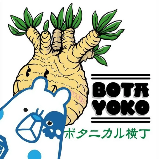 ボタニカル横丁BOTAYOKO2026が千住本氷川神社で開催、アガベやパキポディウムなど多様な植物が集結