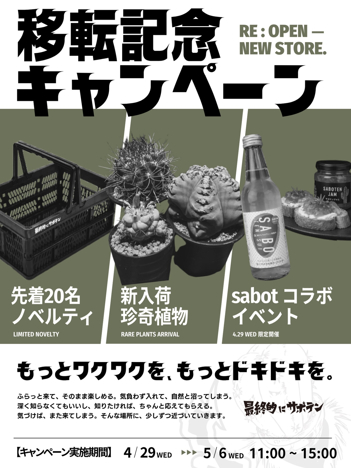 最終的にサボテンが2026年移転記念キャンペーンを実施、珍奇植物入荷と 最終的にサボテンが2026年移転記念キャンペーンを実施、珍奇植物入荷と