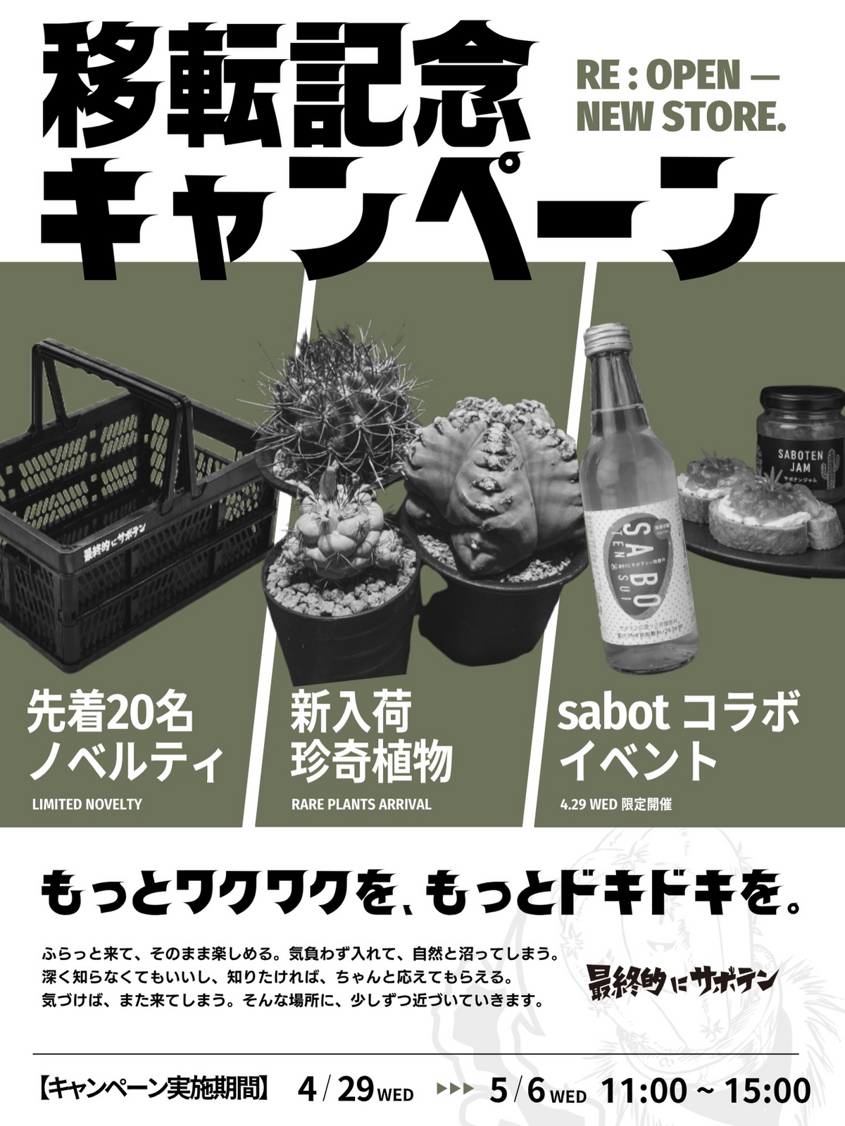 【引き取り限定】特大 サボテン 観葉植物 カフェ 店舗 美容院 オフィス 最終的にサボテンが2026年移転記念キャンペーンを実施、珍奇植物入荷と