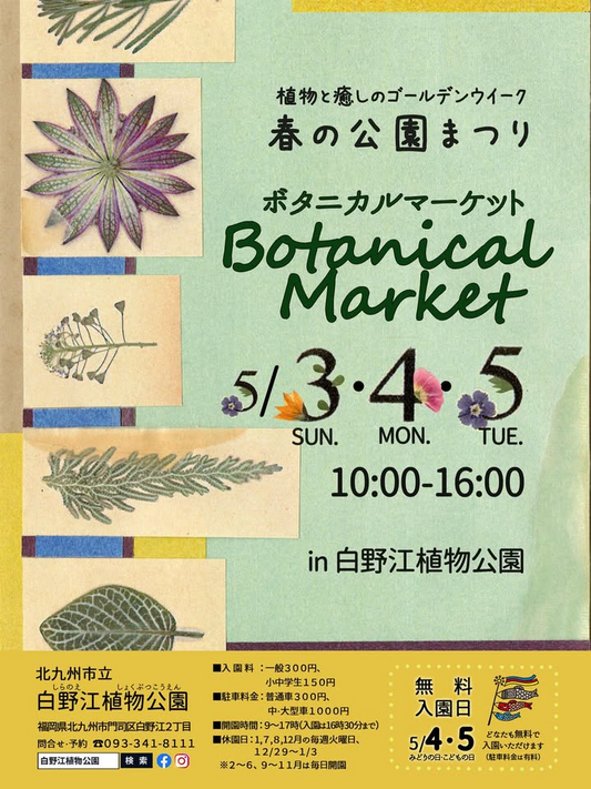 白野江植物公園が春の公園まつり2026を開催、ボタニカルマーケットと無料入園日が来園理由に