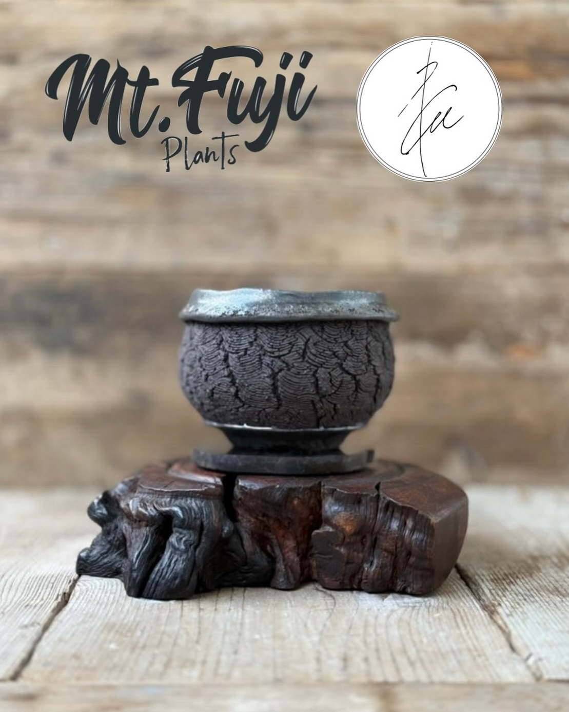 Mt.Fuji Plantsが創業3周年を記念して4週連続ポップアップイベントを