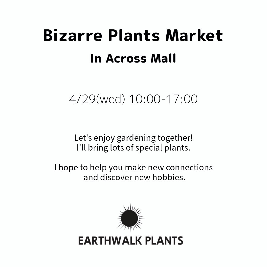Bizarre Plants Market In Across Mallが2026年に開催、アガベギャザリング体験と販売を実施