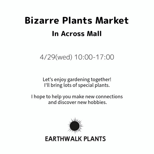 Bizarre Plants Market In Across Mallが2026年に開催、アガベギャザリング体験と販売を実施