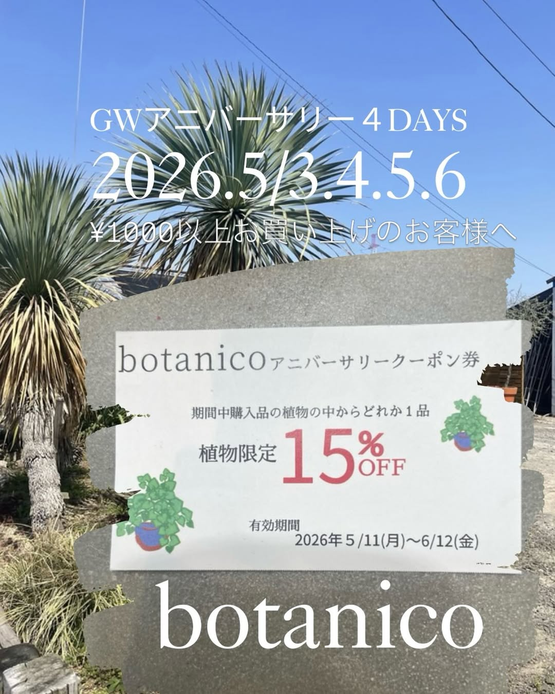 botanicoが2026年9周年アニバーサリーを実施、植物限定クーポンと植替え無料企画を展開
