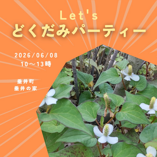 Let’sどくだみパーティーが2026年に垂井の家で開催、ドクダミ活用ワークショップとランチを実施