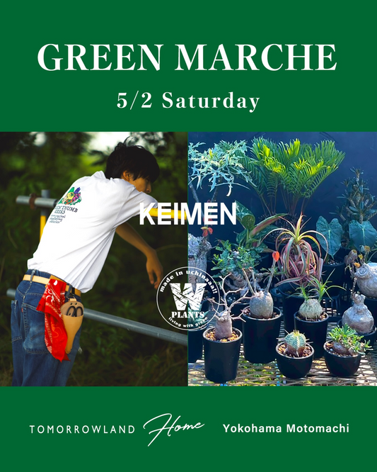 GREEN MARCHEが2026年に横浜元町で開催、W-PLANTSの希少植物とKEIMENのウエアを展開