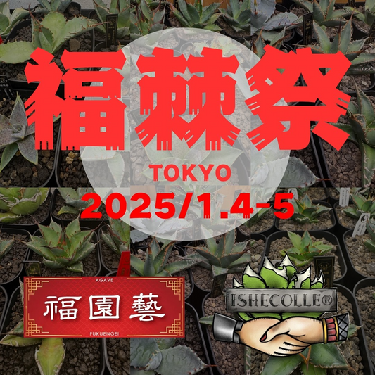福棘祭2025が東京で開催、Agave専門店2社による300株以上の特別販売とサイコロ割引キャンペーンを実施