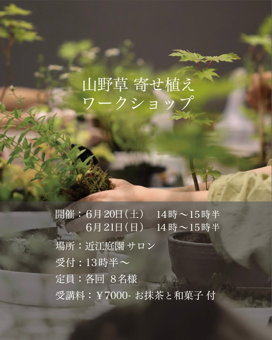 株式会社近江庭園が季節の山野草サロン販売会を開催、夏の寄せ植えワークショップと花苗直売に注目