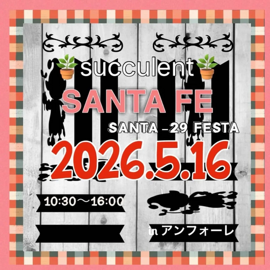 GREENSANTAがSANTA_29FESTAvol.20サンタフェを開催、安城のアンフォーレ願いごと広場に多肉植物と雑貨が集結
