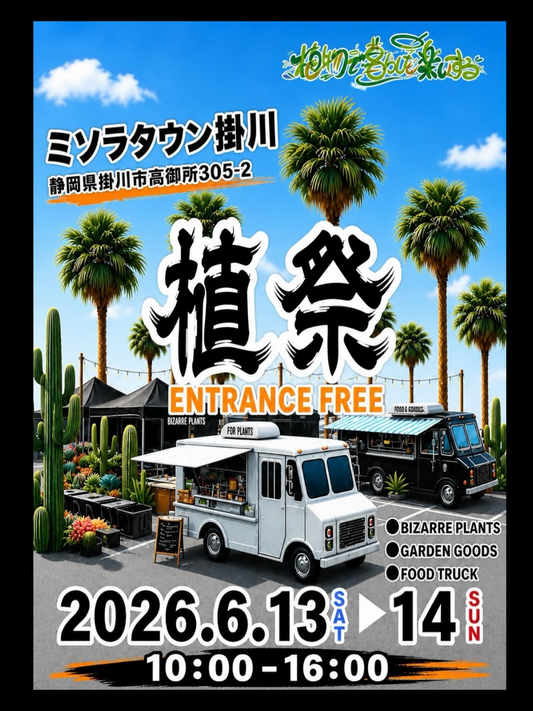 植祭植物で暮らしを楽しくするがミソラタウン掛川で開催、アガベや塊根植物とキッチンカーが集結