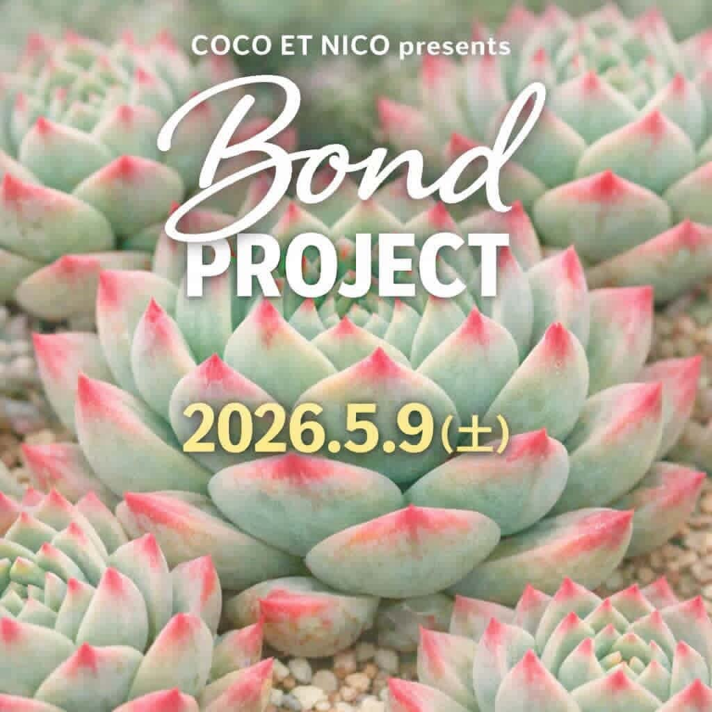 COCOETNICOがBondPROJECT2026を開催、市原湖畔美術館に多肉植物ブースとキッチンカーが集結