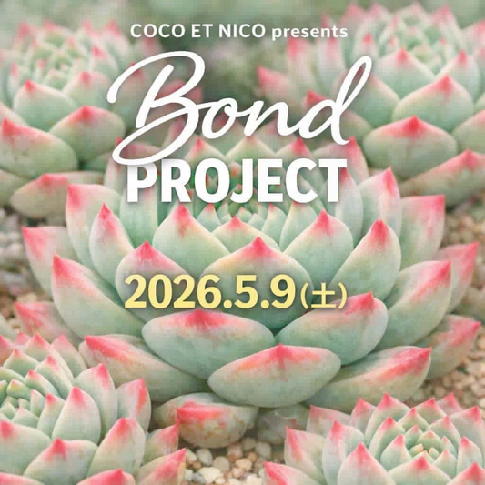 COCOETNICOがBondPROJECT2026を開催、市原湖畔美術館に多肉植物ブースとキッチンカーが集結