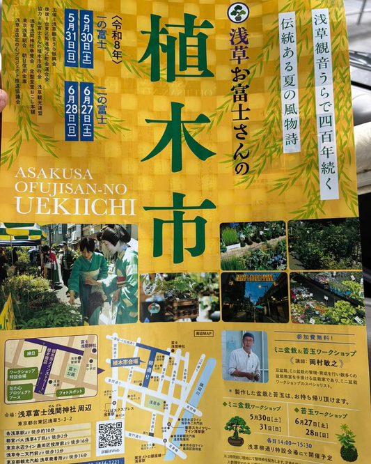 浅草お富士さんの植木市2026が開催、ミニ盆栽と苔玉ワークショップを浅草富士浅間神社周辺で実施