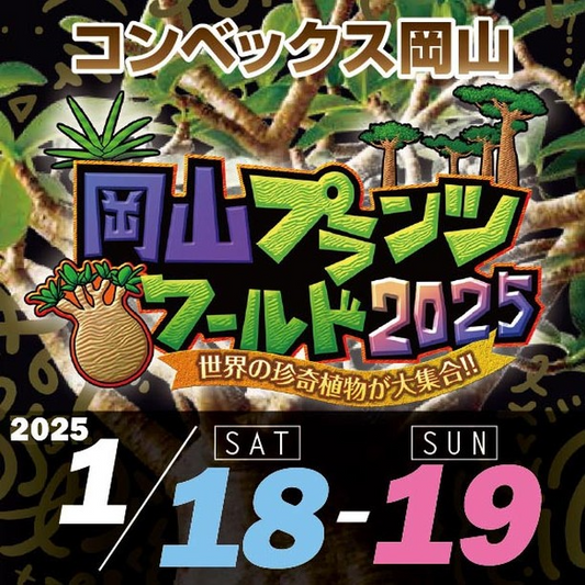 岡山プランツワールド2025が中国地方最大級の珍奇植物即売会を開催、Agave & Caudex Port Edenなど全国の専門店が大集結しInstagramでも情報発信