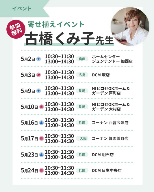 コーナン箕面萱野店が寄せ植えイベント2026を開催、古橋くみ子先生が失敗しない園芸を実演