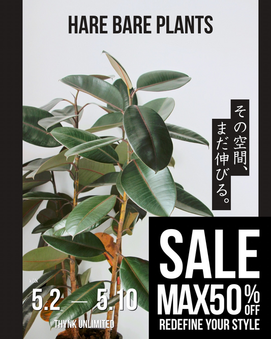 HareBarePlantsGWPlantsSALE2026が藤枝で開催、観葉植物やアガベを最大50%OFFで販売