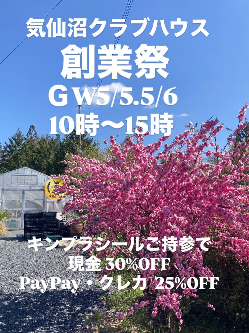 キングプランツ気仙沼クラブハウスが創業祭を開催、アガベやエケベリアを温室で販売