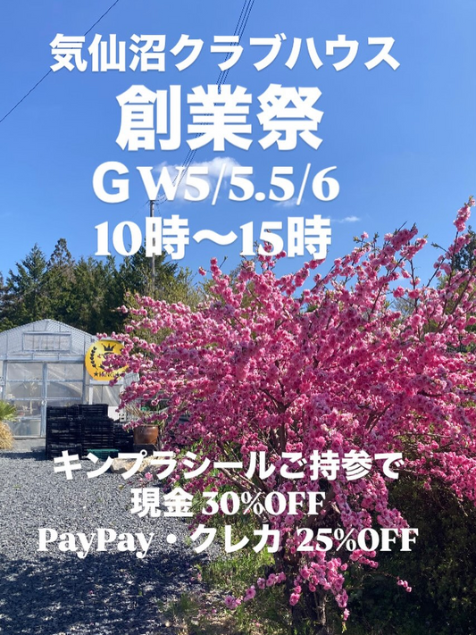 キングプランツ気仙沼クラブハウスが創業祭を開催、アガベやエケベリアを温室で販売