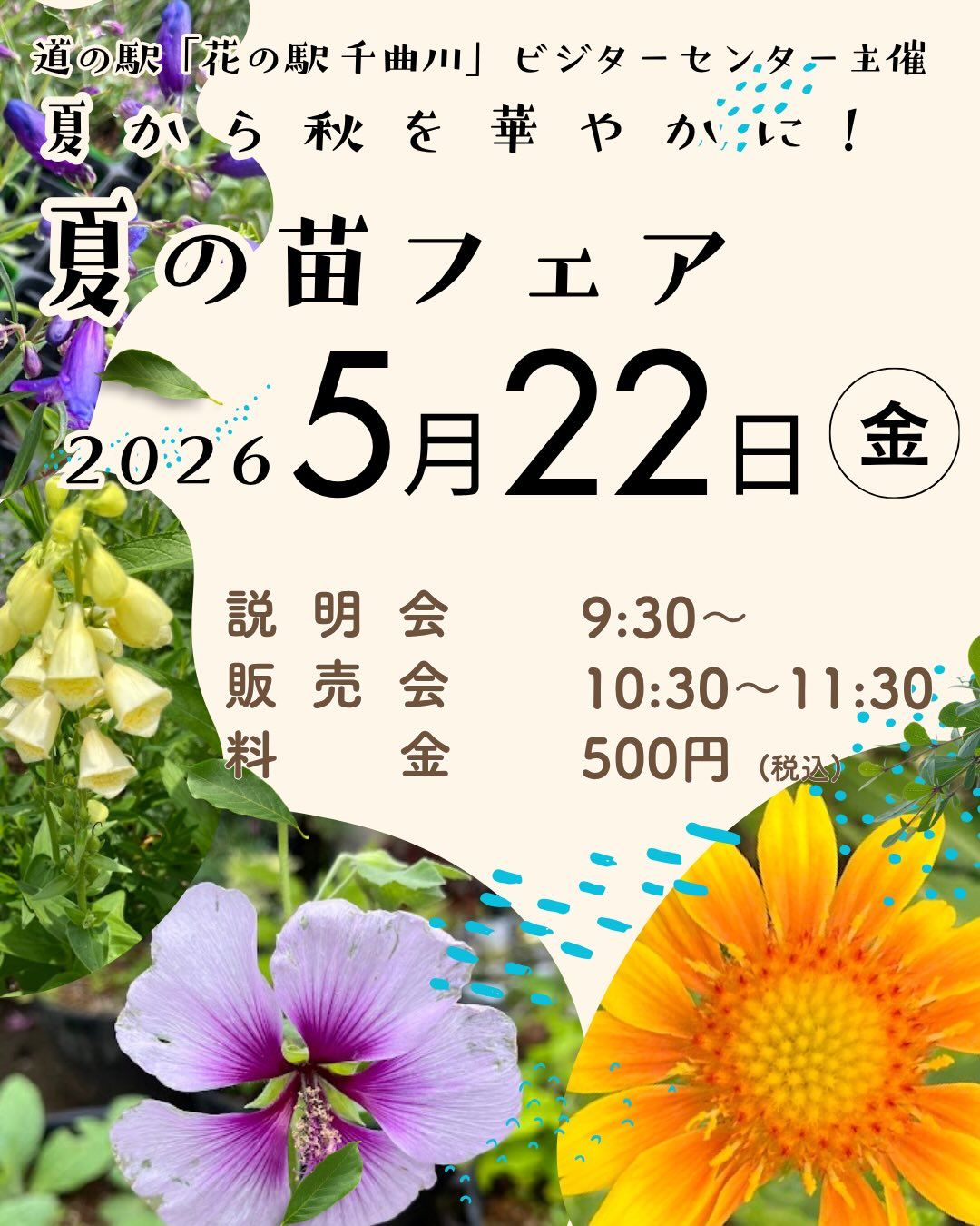 道の駅花の駅千曲川が夏の苗フェア2026を開催、樹木医が夏苗の選び方と育て方を紹介