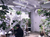 RENが植活フェア2026を開催、期間限定植物とケア割チケットを展開