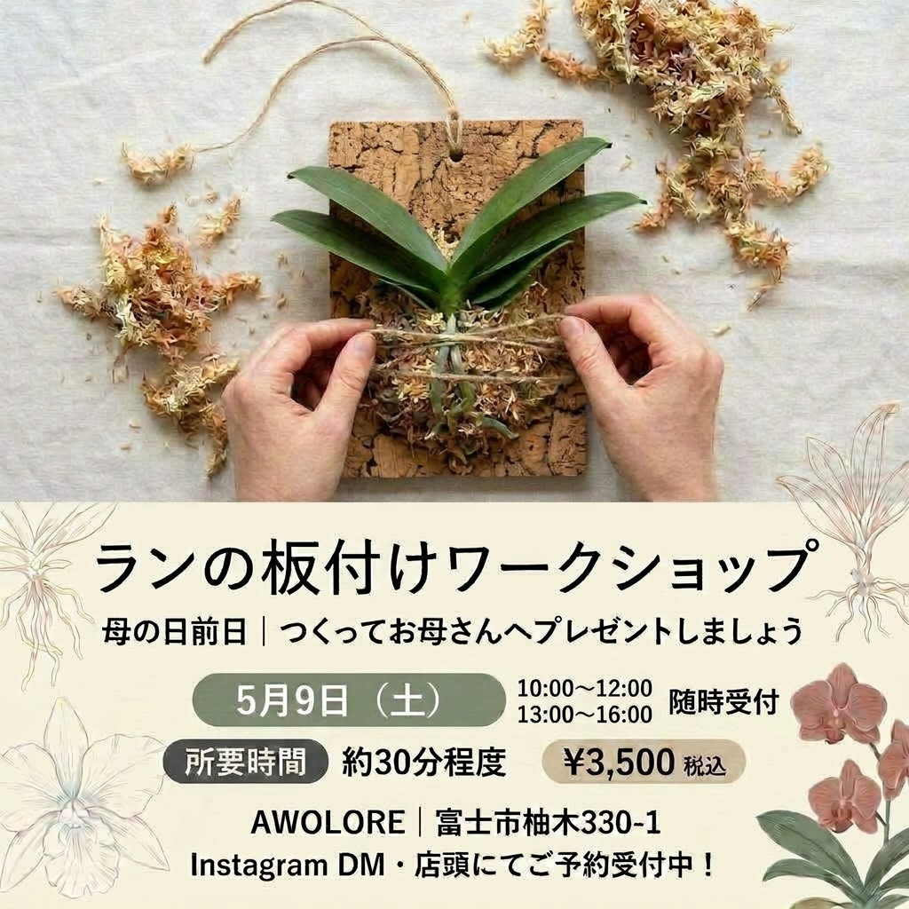 ランの板付けワークショップ2026がAWOLOREで開催、母の日ギフト向けの植物体験を実施