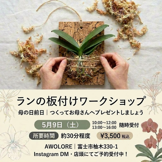 ランの板付けワークショップ2026がAWOLOREで開催、母の日ギフト向けの植物体験を実施